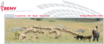Banner BENV n. 11, marzo 2013