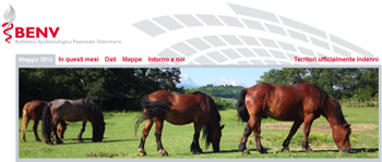 Banner BENV n. 12, maggio 2013