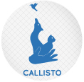 www.callistoproject.eu