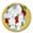 Collegamento al sito Gestione emergenze Diossine