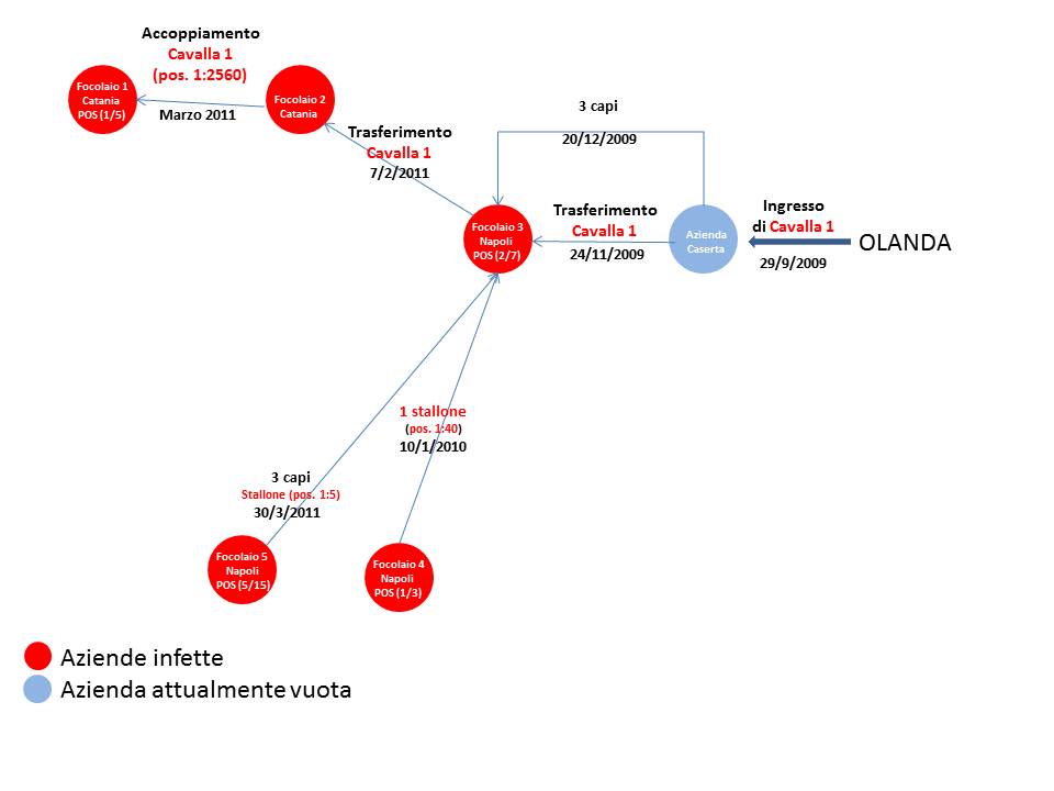 Figura 1. Schema movimentazione animali nei focolai