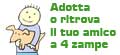 Adotta un amico a 4 zampe