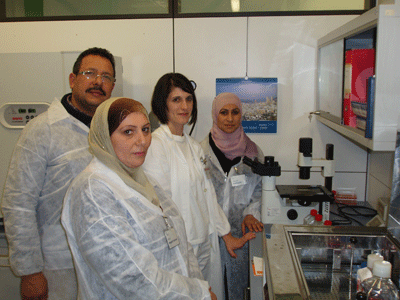 Laboratory activities