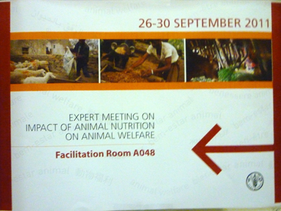 The Institute participates at FAO's first Expert Meeting on nutrition and animal welfare