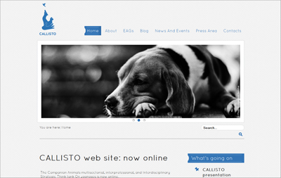 CALLISTO website on line from March 31st, 2012