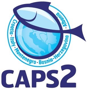 In Sarajevo the first Steering Committe of the CAPS2 Project