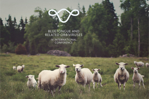 In Rome the IV International Conference on Bluetongue and related orbiviruses