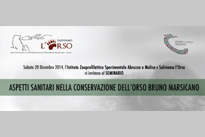 Seminario sull’Orso Bruno Marsicano