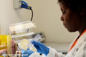 Dall’Angola all’IZSAM per uno stage di addestramento in microbiologia