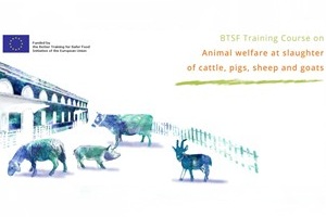 Benessere animale durante la macellazione di bovini, suini, ovini e caprini
