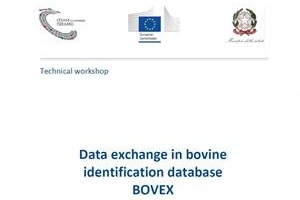 Data exchange in bovine identification database BOVEX
