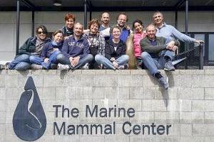 Formazione al Marine Mammal Center di Sausalito