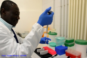 From Nigeria at IZSAM for a PhD on CBPP