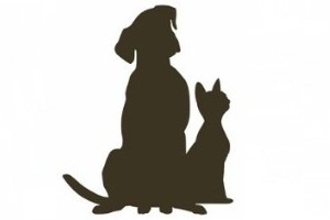 L’Istituto alla seconda conferenza europea sul benessere di cani e gatti