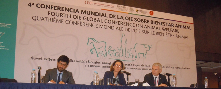 IV Conferenza Mondiale OIE sul Benessere Animale
