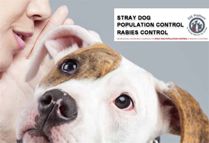 Campagna dell’OIE sul controllo del randagismo canino nei Balcani
