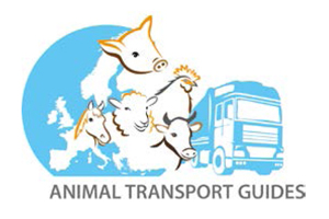 Concorso di idee per la realizzazione del sito web del Progetto ‘Transport Guides’
