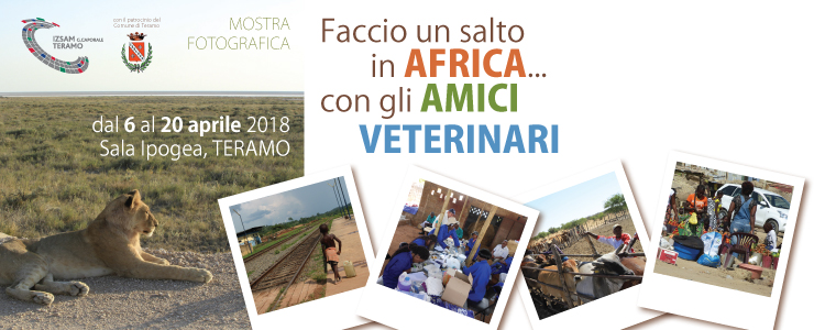 Un salto in Africa con gli amici veterinari