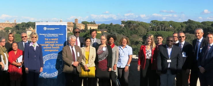 L'Istituto alla FAO per la gestione delle emergenze