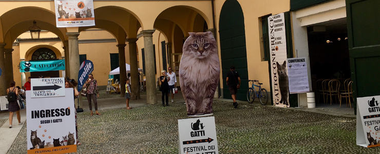 A Villa Castelbarco (MI) l'IZSAM racconta il Museo del Gatto