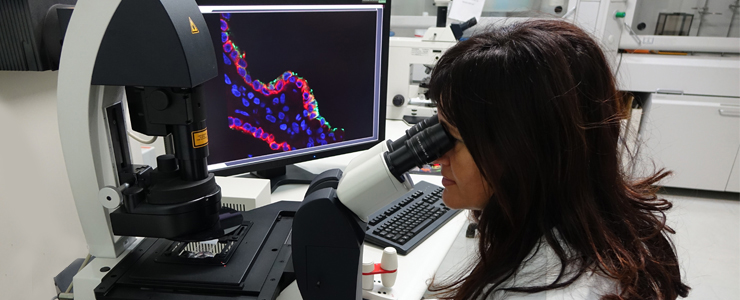 Uniformità delle attività di diagnostica specialistica