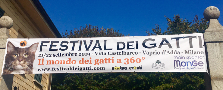 Gatto RAGU’ al Festival dei Gatti 2019