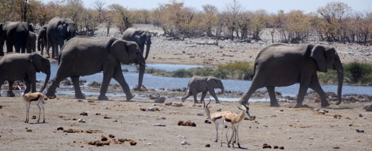 Cooperazione scientifica in Africa