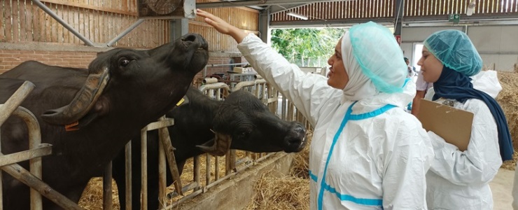 Twinning WOAH sul Benessere Animale con la Tunisia