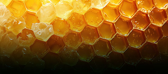 Corso introduttivo sull'analisi del miele