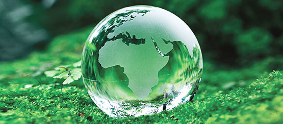 Webinar EcoSurv: i risultati dei primi 18 mesi del progetto