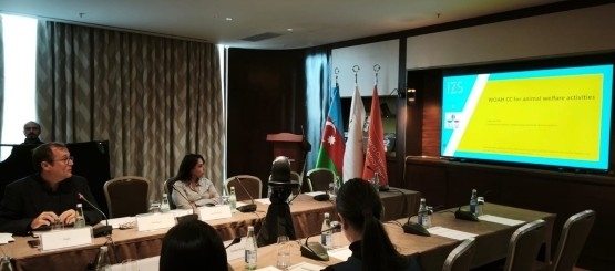 L'Istituto in Azerbaigian al Meeting del Gruppo della Piattaforma WOAH per il Benessere Animale in Europa