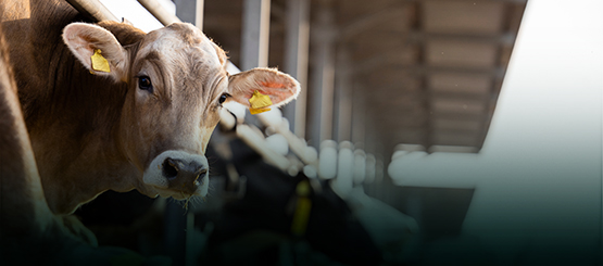 Biological Standards Commission del WOAH