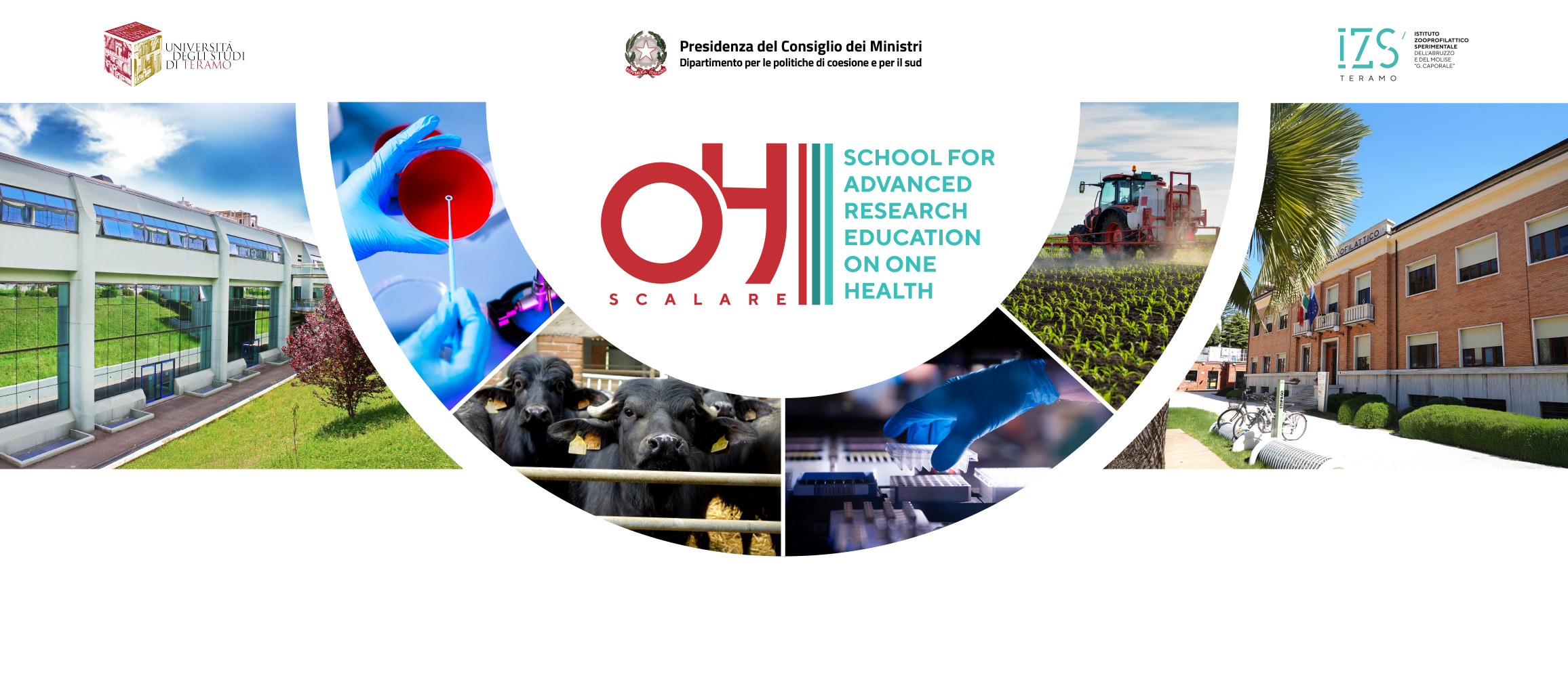 UNITE e IZSAM: pubblicato il bando per 11 contratti di ricerca nel progetto SCALARE