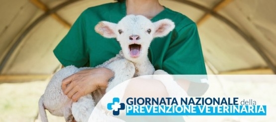 A Teramo la Giornata Nazionale della Prevenzione Veterinaria