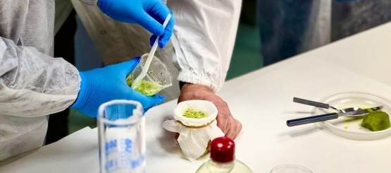 All'IZS di Teramo due visite didattiche di formazione e orientamento per studenti della scuola secondaria di I grado