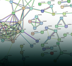LISTERIA MONOCYTOGENES AND THE ROLE OF PROTEOMICS: DELVING DEEP INTO A FOODBORNE PATHOGEN