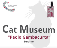 Cat Museum. A space of public health intervention