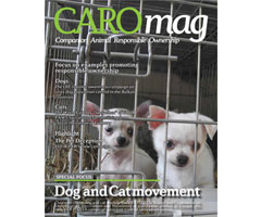 CAROmag