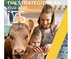 THE STRATEGIC PLAN 2022-2024