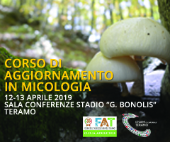 Corso di aggiornamento in micologia