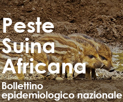 Peste Suina Africana - Bollettino epidemiologico Storymap