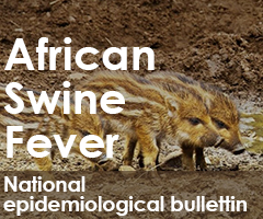 African Swine Fever - National epidemiological bullettin