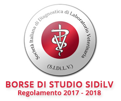 BORSE DI STUDIO SIDiLV  2017 - 2018 - In Evidenza