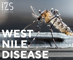 West Nile Disease_ie