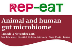 Animal and human gut microbiome