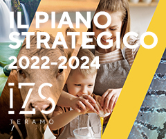 IL PIANO STRATEGICO 2022-2024