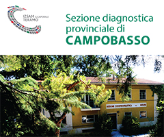Sezione diagnostica provinciale di Campobasso