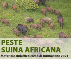 Peste Suina Africana Corso di formazione 2021