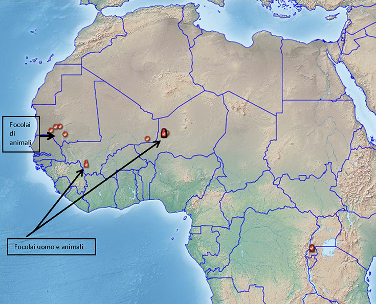 Figura 2. Focolai di RVF (animali e uomo) nei paesi del Mali e del Niger, anni 2016-2017 (fonte: empres-i.fao.org)