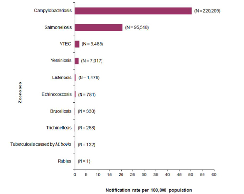 Casi notificati di zoonosi nell'uomo nel 2011